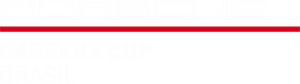 Porsche Cup